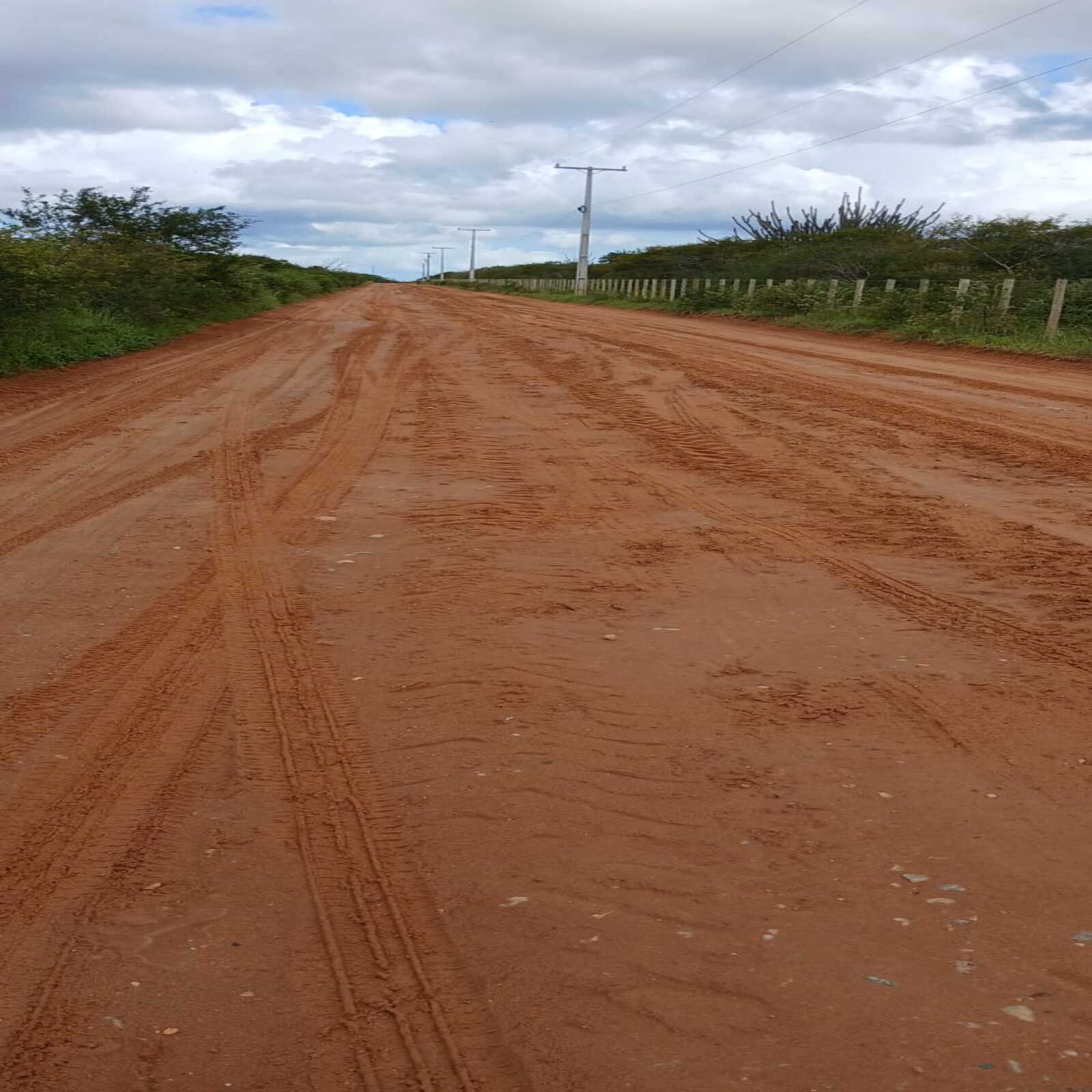 Fotos da roça7