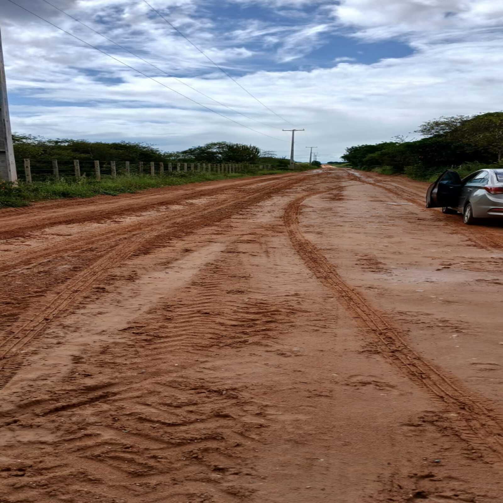 Fotos da roça8